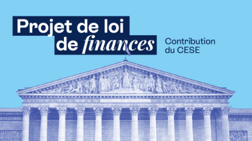 Projet de loi de finances : contribution du CESE