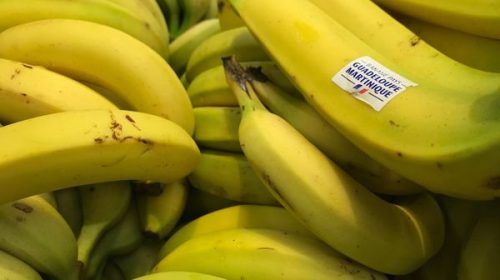 Plus de 600 millions d’euros d’aides européennes à l’agriculture ultramarine : un soutien vital mais inégalement réparti