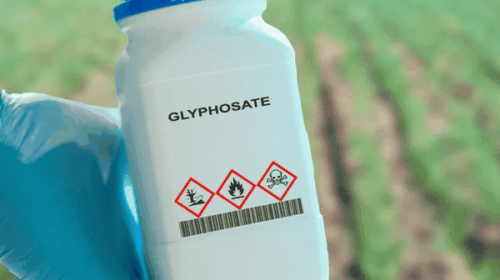 Des cartes interactives et des graphiques pour découvrir quels pesticides on respire Outre-mer