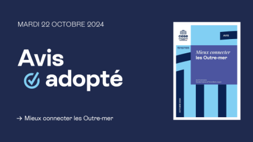 Développer les connexions des Outre-mer : une opportunité et une nécessité