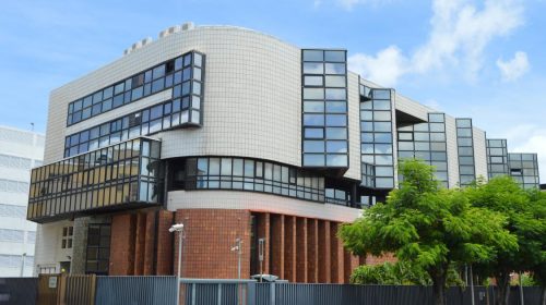 Économie martiniquaise : le climat des affaires rechute au troisième trimestre