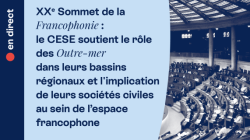 Sommet de la Francophonie : quelle place pour les Outre-mer ?