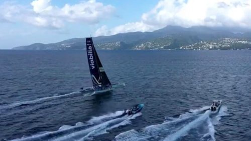 Transat Café l'Or 2025 : Viabilis Océans s’impose dans la catégorie Ocean Fifty à Fort-de-France
