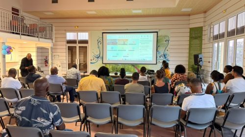 Navire de collecte, filets intelligents... Une dizaine projets anti-sargasses présentés au Marigot