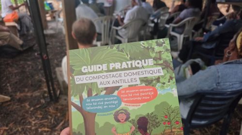Gestion des déchets en Martinique : l'ADEME et Ypiranga lancent un guide du compostage à domicile