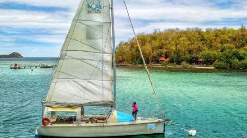 Antilles françaises : les compagnies aériennes françaises intensifient les dessertes ultramarines cet hiver