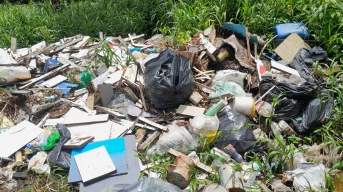 1300 euros d’amende pour un dépôt illégal de déchets en forêt