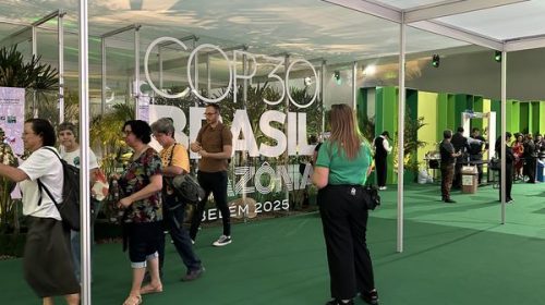 Réchauffement climatique : ces solutions surprenantes présentées à la COP 30