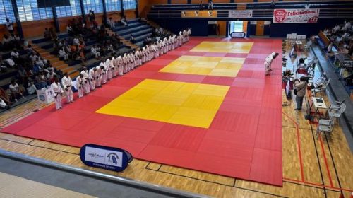 Judo : trois dojos solidaires livrés clés en main en Martinique