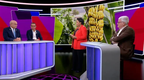 VIDÉO : Une agriculture à la croisée des chemins [Outre-mer, et si on bougeait les lignes ?]
