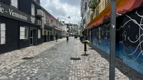 8 habitants de Martinique sur 10 sont nés sur l'île, un record en France selon l'Insee - Outre-mer La 1ère