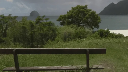 VIDEO. Beli’ Sud : huit communes de Martinique misent sur l’insertion pour embellir leurs sites touristiques - Outre-mer La 1ère