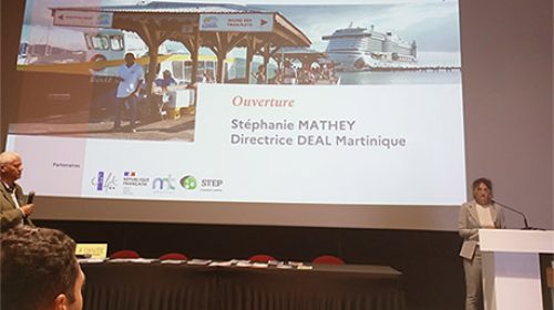 Intermodalité Terre–Mer/Fleuve : regards croisés et leviers d’action pour les mobilités ultramarines