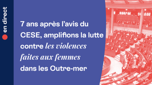 Les violences faites aux femmes, toujours plus prégnantes dans les Outre-mer