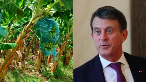 Chlordécone : Le gouvernement soutiendra la PPL de Dominique Théophile assure Manuel Valls