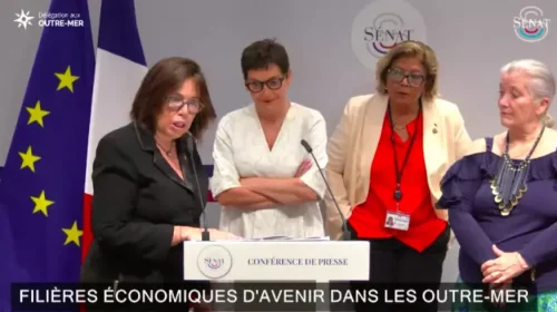 Un rapport du Sénat sur les filières économiques d’avenir appelle à « une véritable politique de l’État en faveur des Outre-mer »