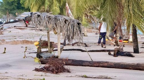 Journée mondiale de la résilience : la Guyane face à ses risques naturels et technologiques
